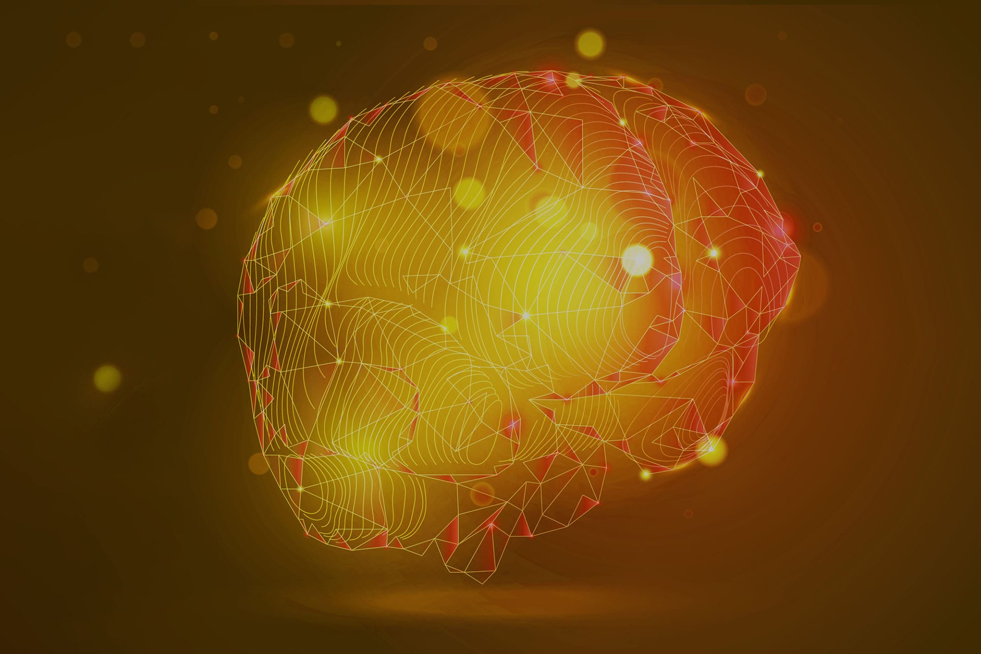 Neuroscience